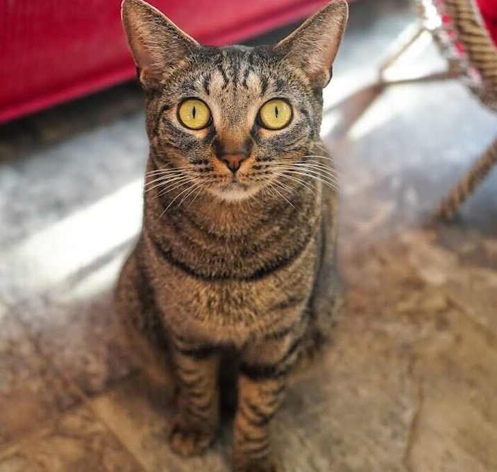 Photo of Beatrice