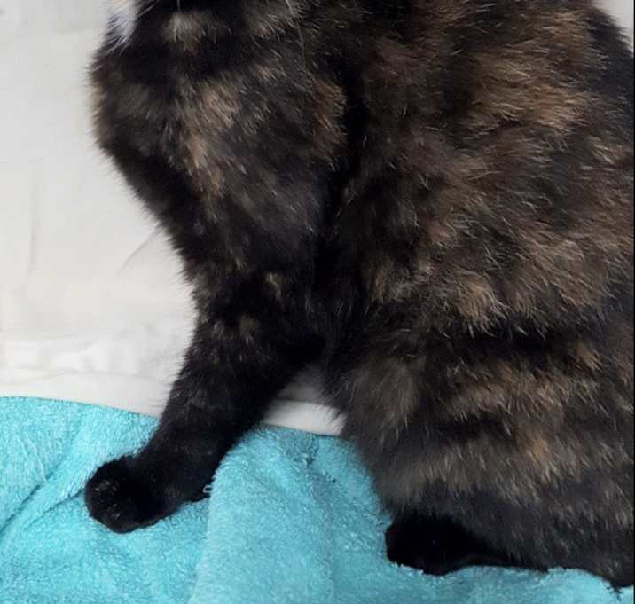 Photo of Clarice