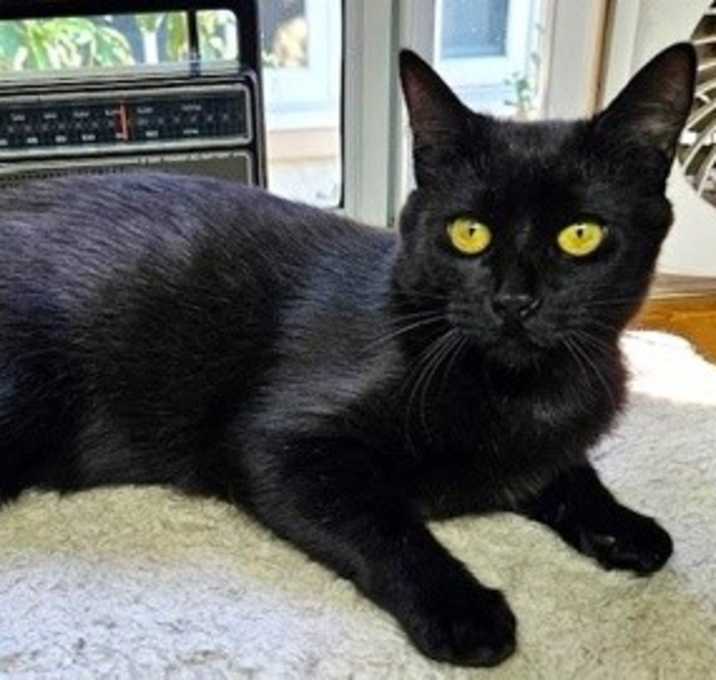 Photo of Baggie