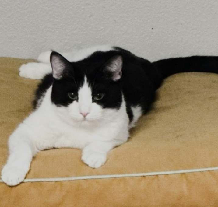 Photo of Talia