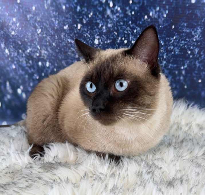 Photo of Gravy(Wish)