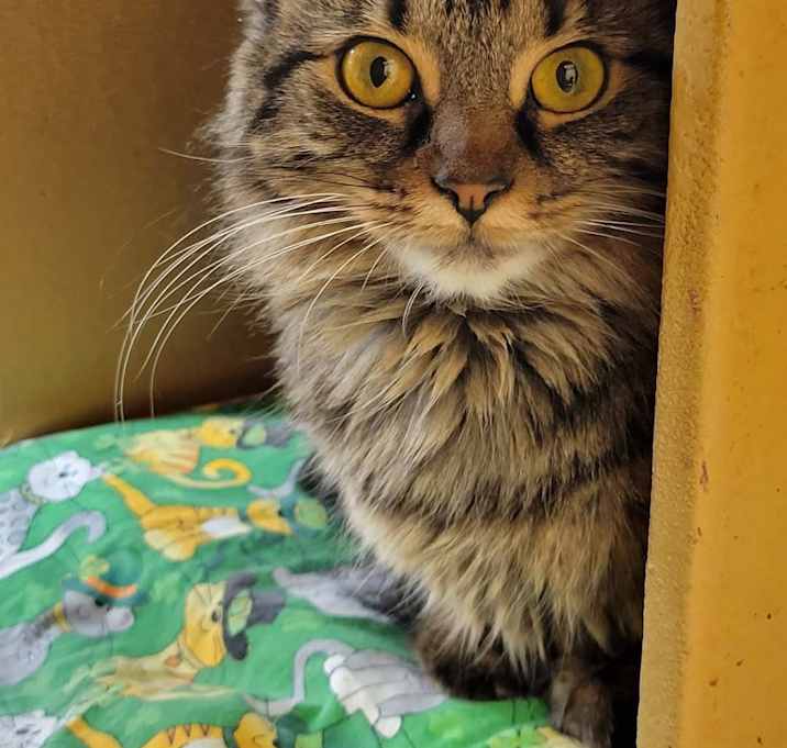 Photo of Wednesday
