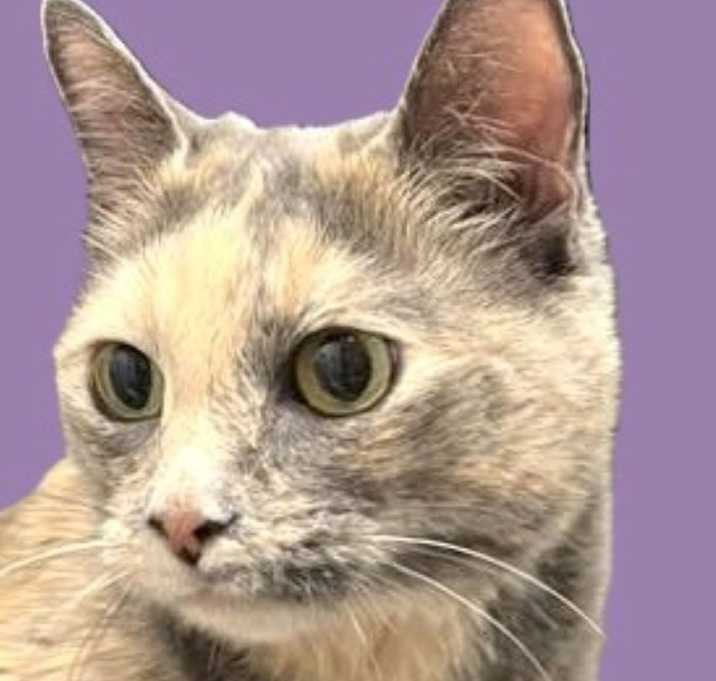 Photo of Jackie