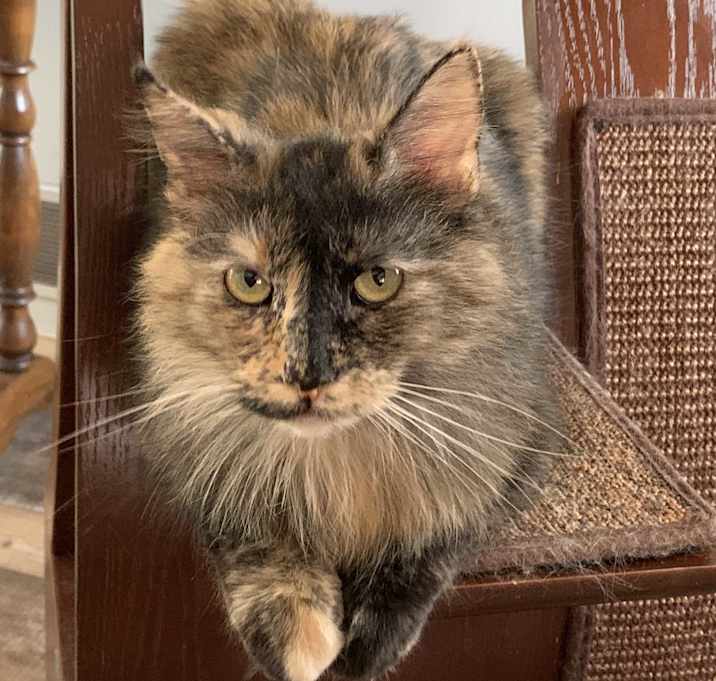 Photo of Precious