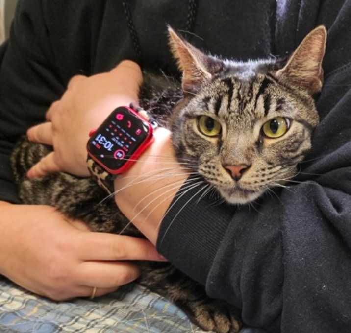 Photo of Pudge