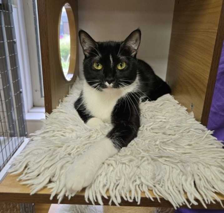 Photo of Sugar