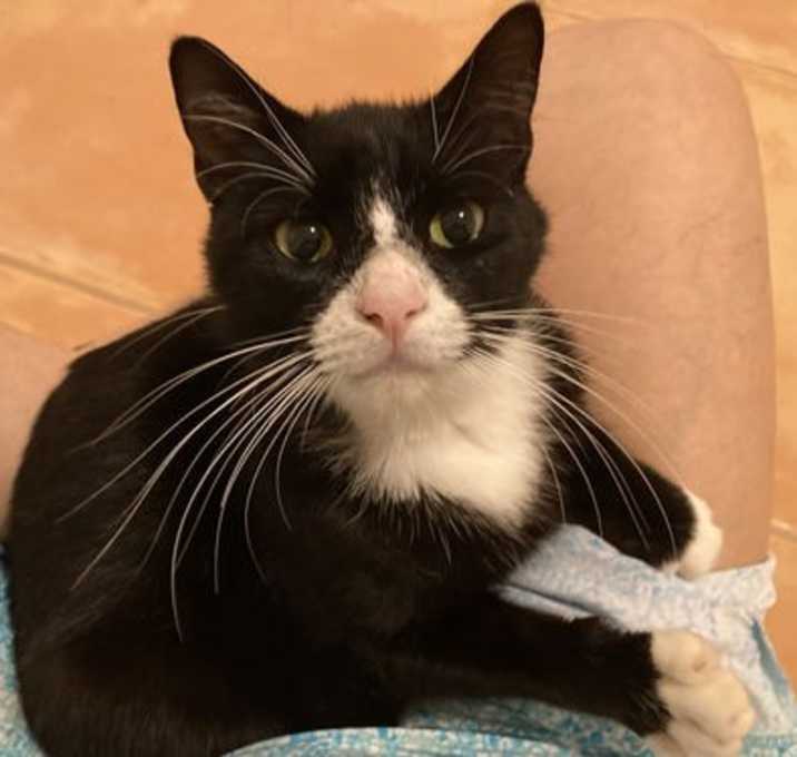 Photo of Sebastian