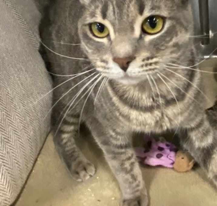 Photo of Minnie