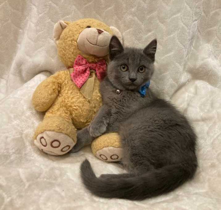 Photo of Dimitri
