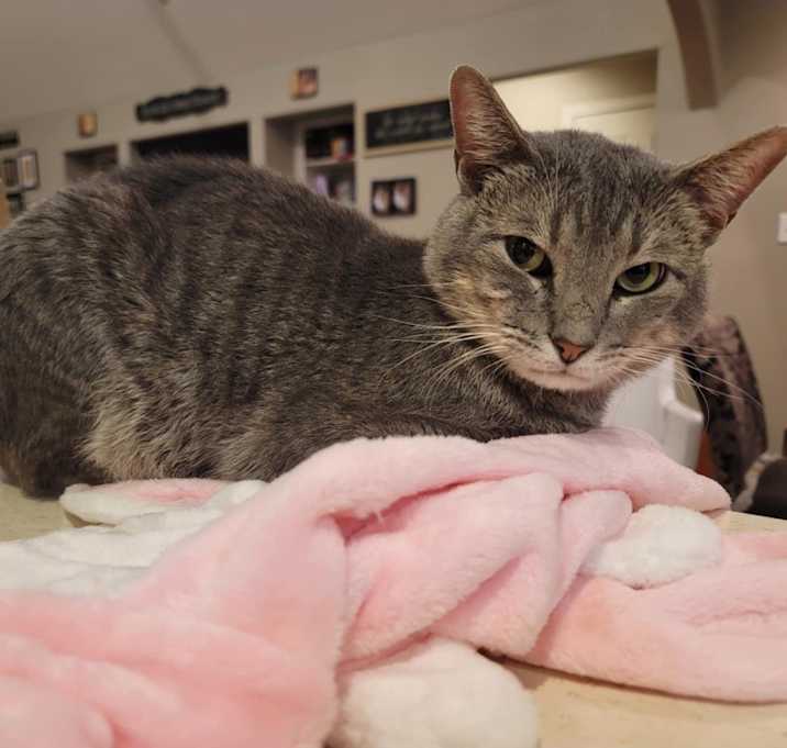 Photo of Milo