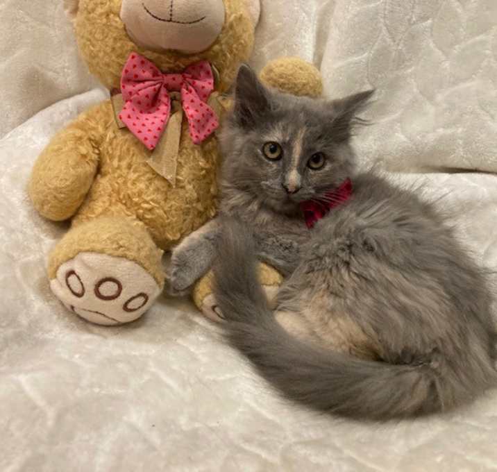Photo of Daria