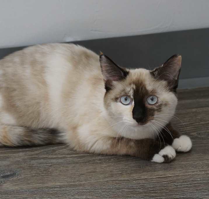 Photo of Kramer