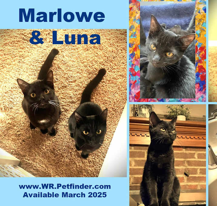 Photo of Marlowe N Luna - 2 for 1