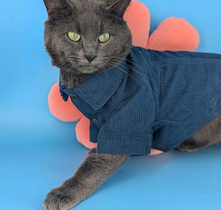 Photo of Valentino