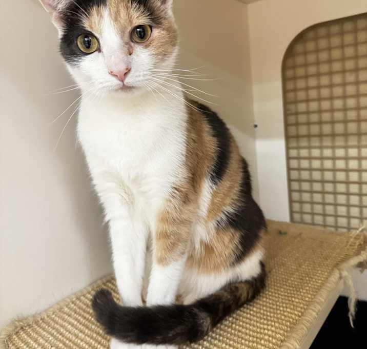 Photo of Nami