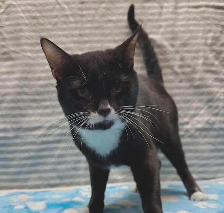 Photo of Freddie