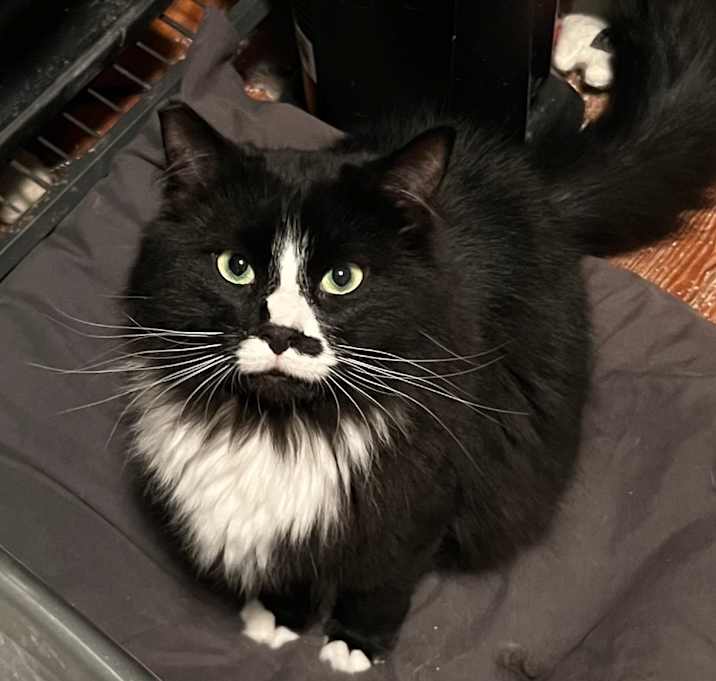 Photo of Taco