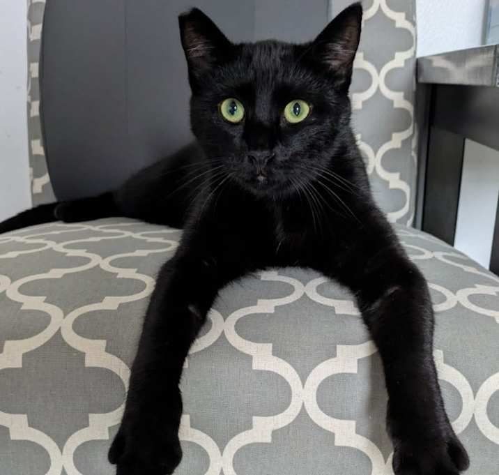 Photo of Jasper