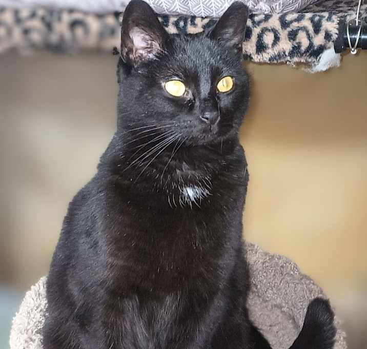 Photo of Maggie
