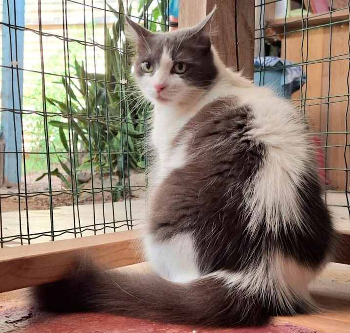 Photo of Meepy