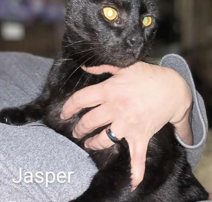 Photo of Jasper
