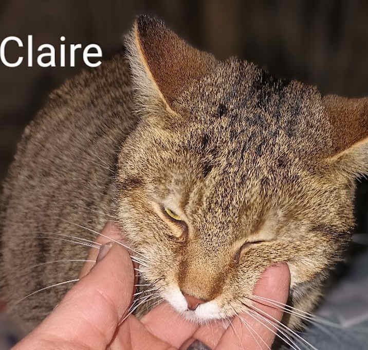 Photo of Claire