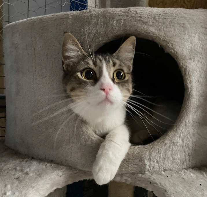 Photo of Happy