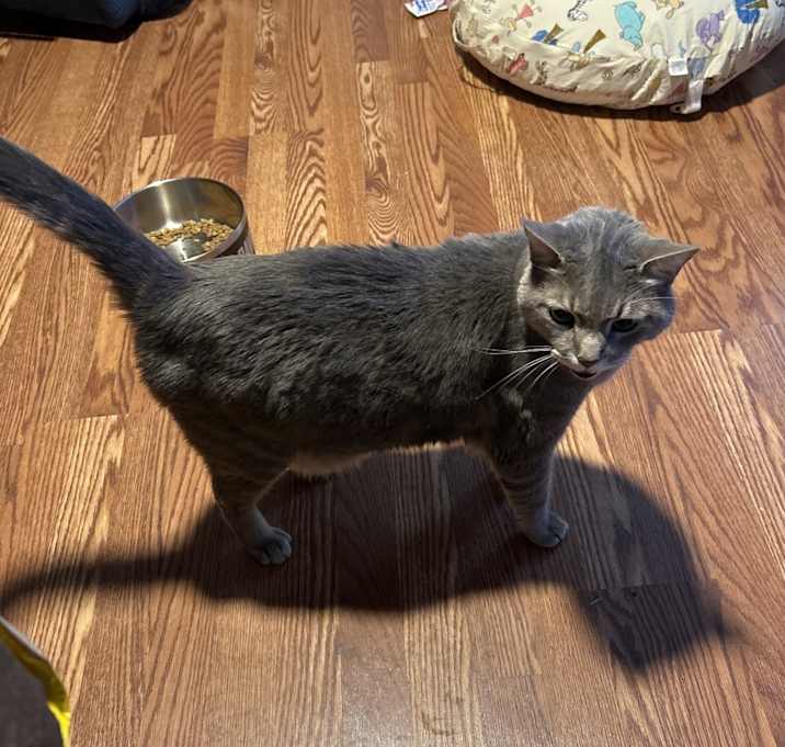 Photo of Tom