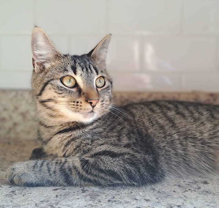 Photo of Roo