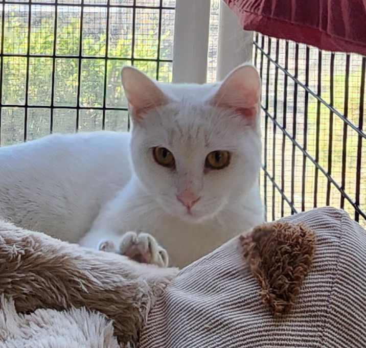 Photo of Matilda