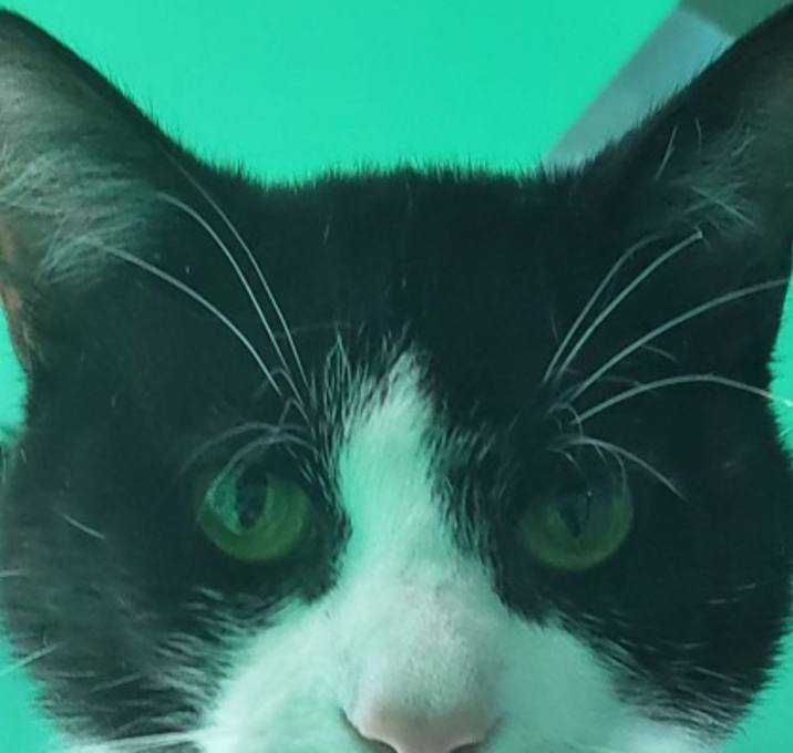 Photo of Jackson