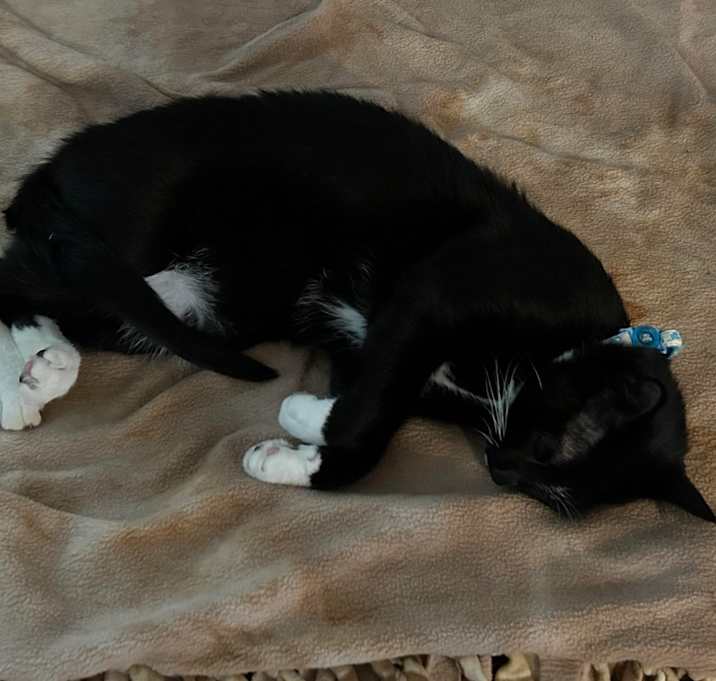 Photo of Phineas