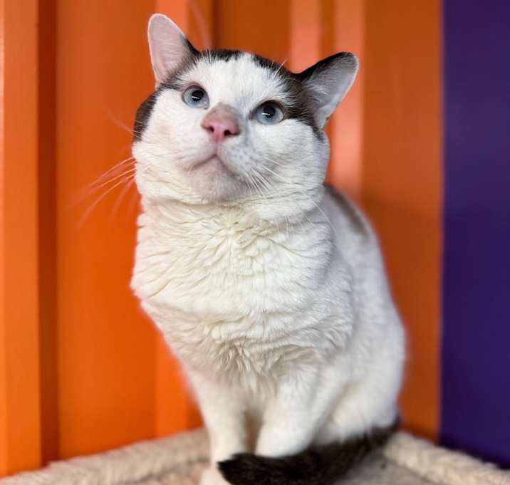 Photo of Grumpy