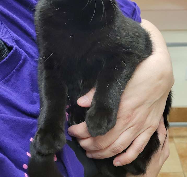 Photo of Jiji