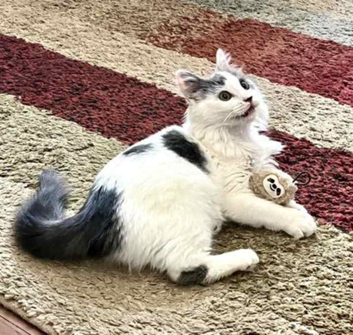 Photo of Spicy
