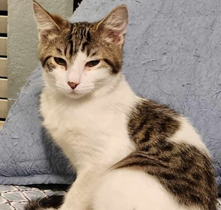 Photo of Niko