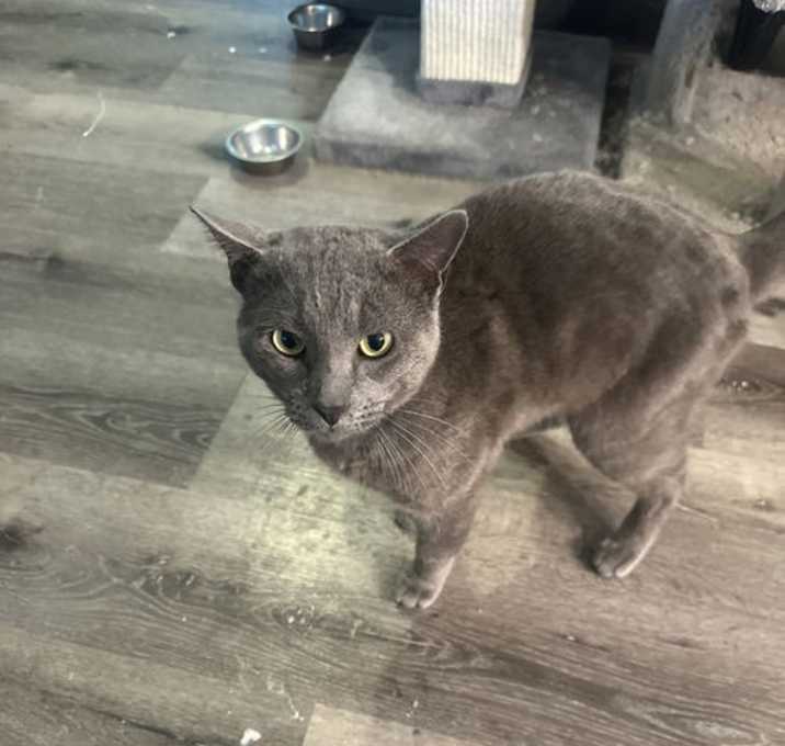 Photo of Tommy