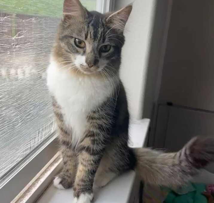 Photo of Sawyer