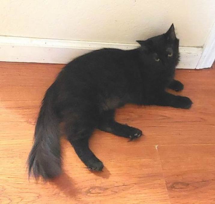 Photo of Lefty