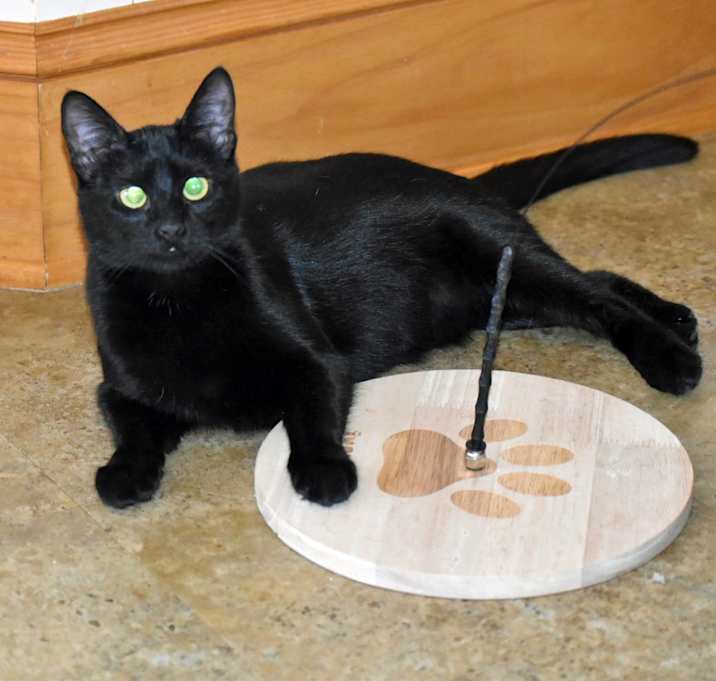 Photo of Wanda