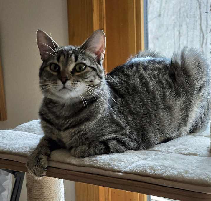 Photo of Mabel
