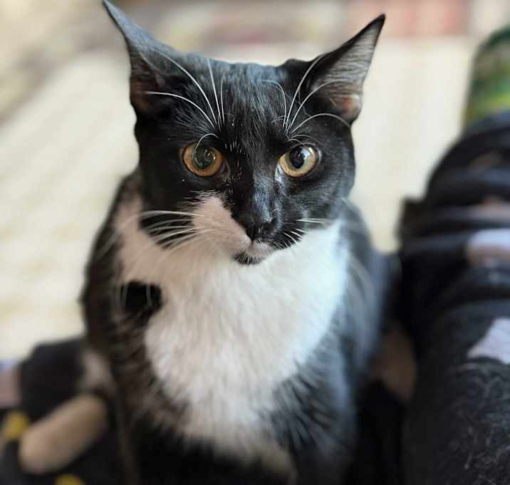 Photo of Charlotte