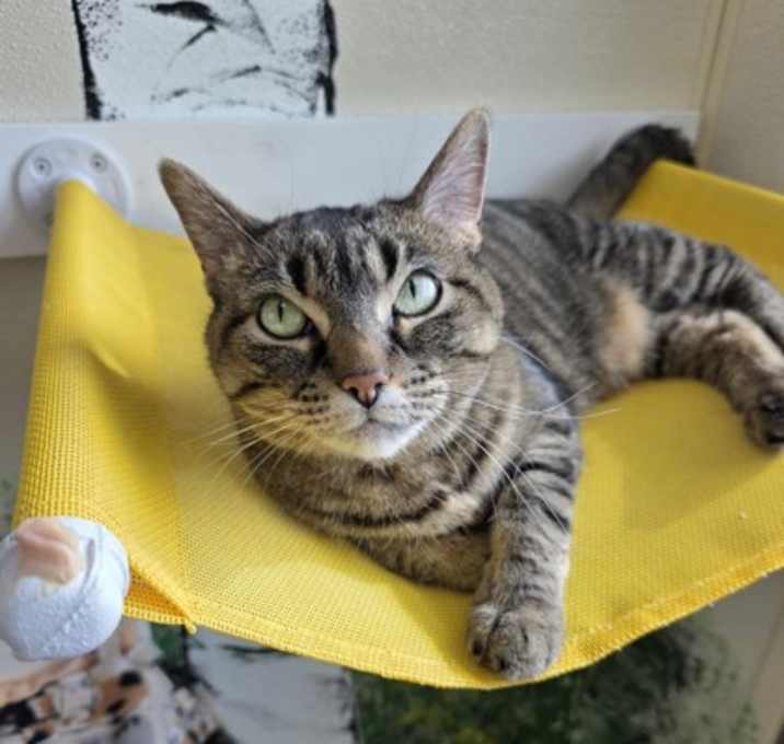 Photo of Luna