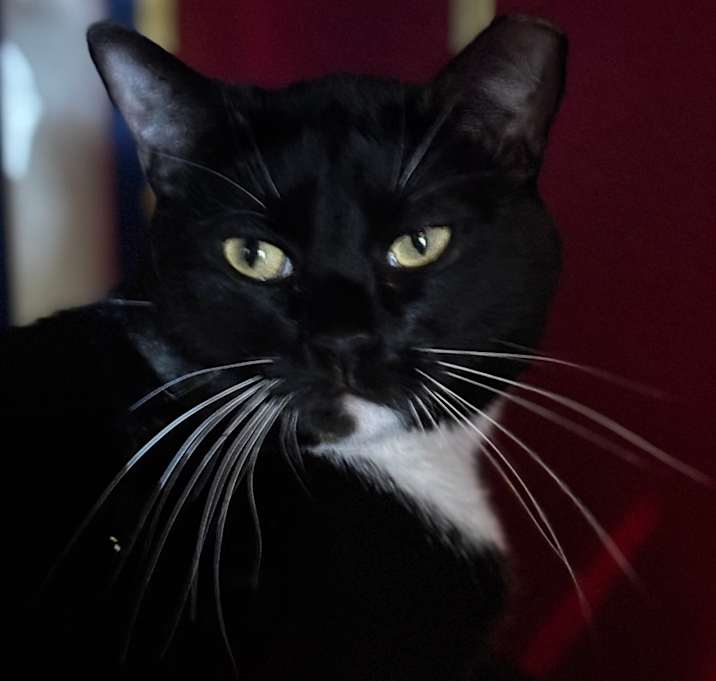 Photo of JJ