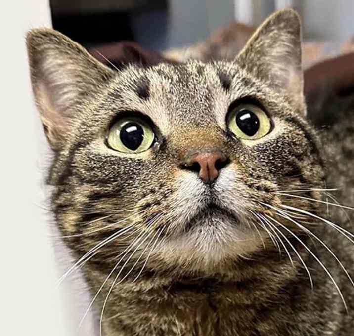 Photo of Katalina