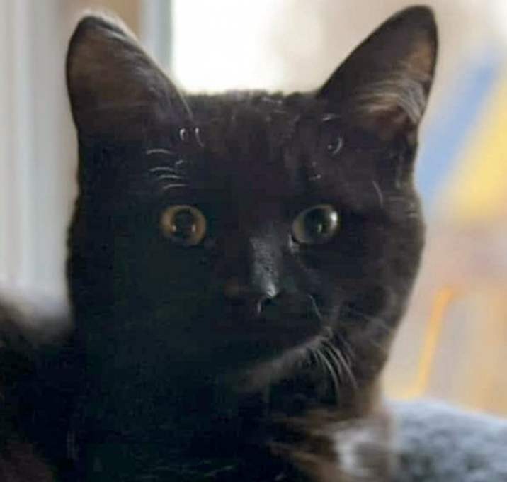 Photo of Whiteclaw