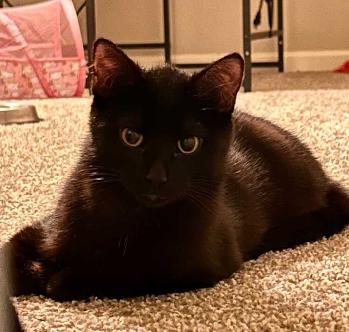 Photo of Del
