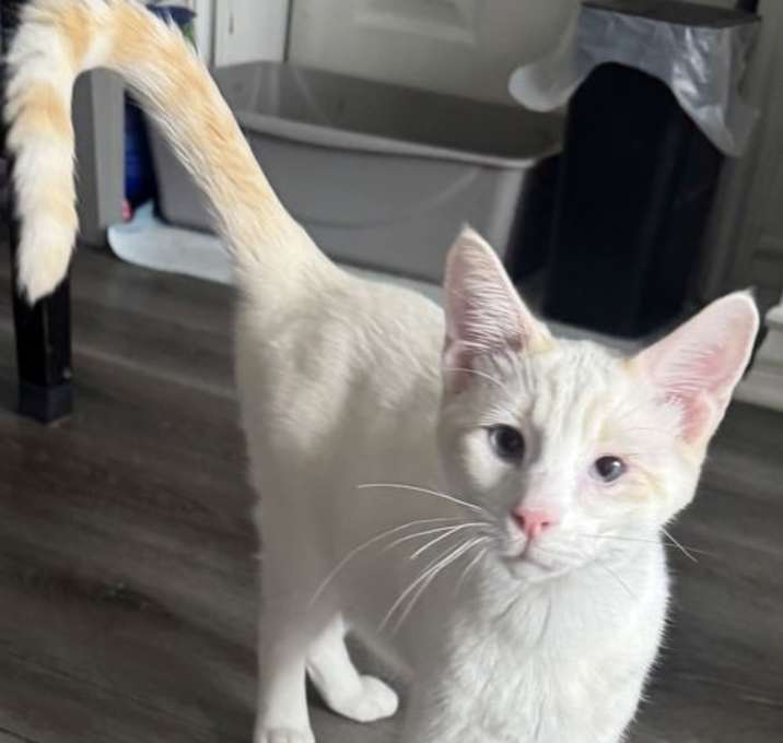 Photo of Finn
