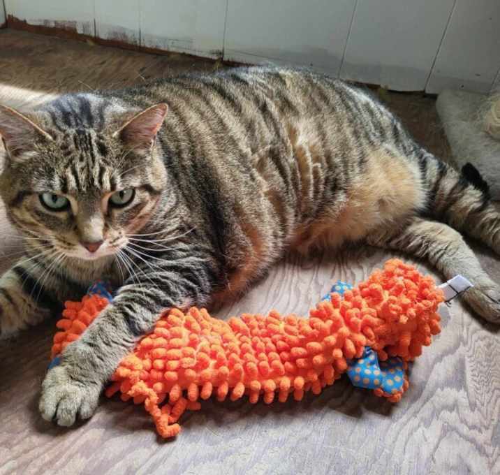 Photo of Greta