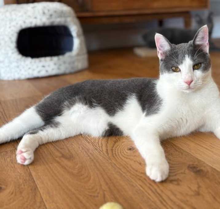 Photo of Tuna